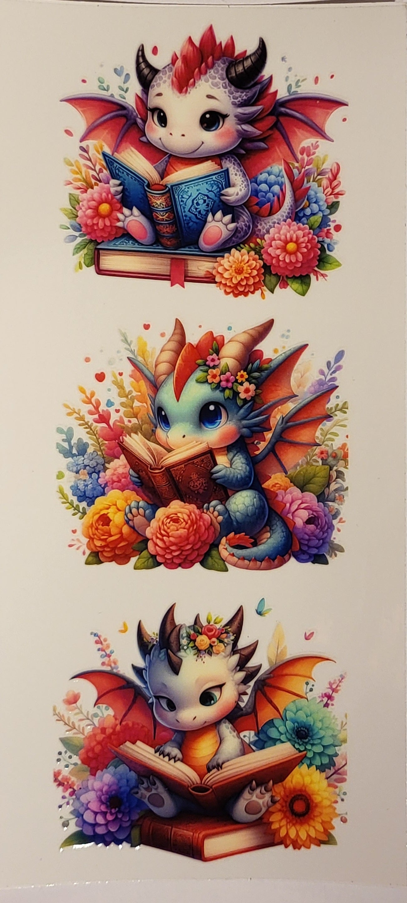 Dragons Reading